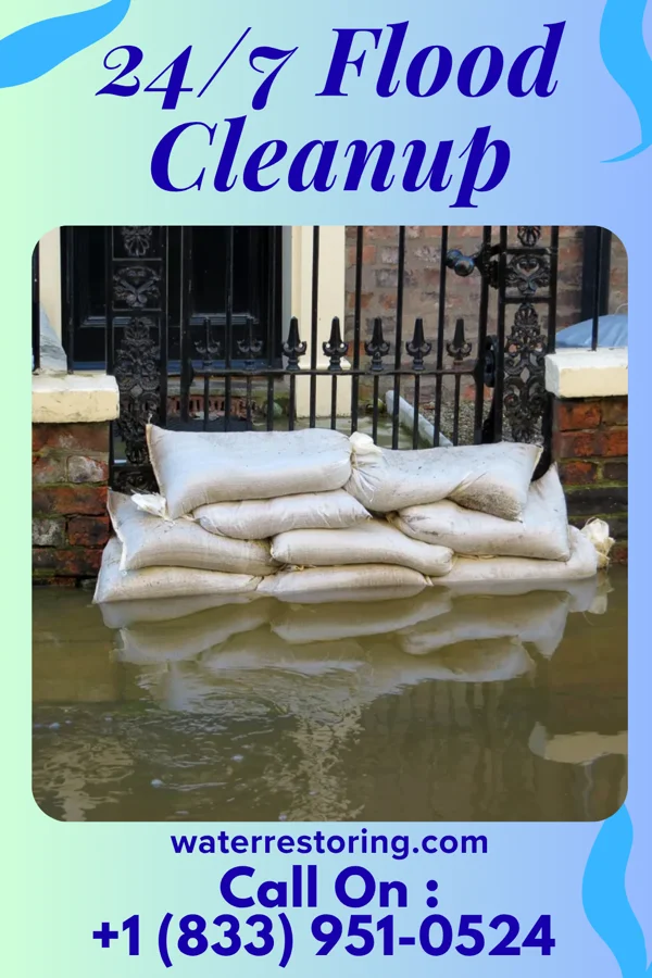 24/7 Flood Cleanup in Ridgeway, VA