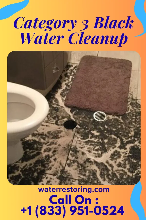Category 3 Black Water Cleanup in Ridgeway, VA