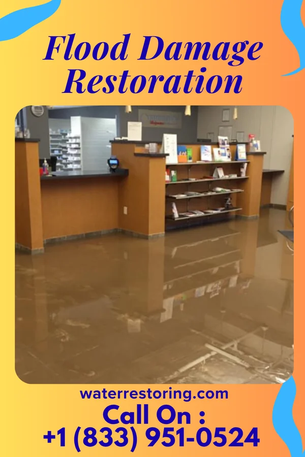 Flood Damage Restoration in Ridgeway, VA
