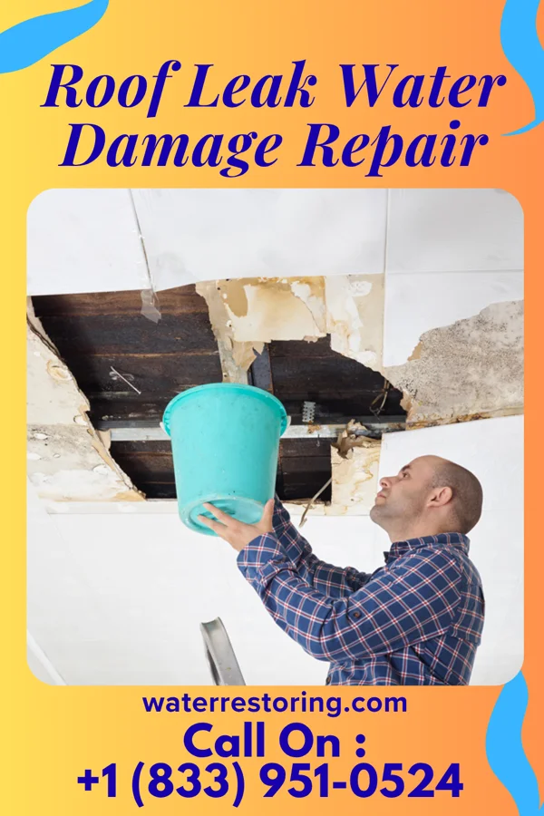 Roof Leak Water Damage Repair in Ridgeway, VA