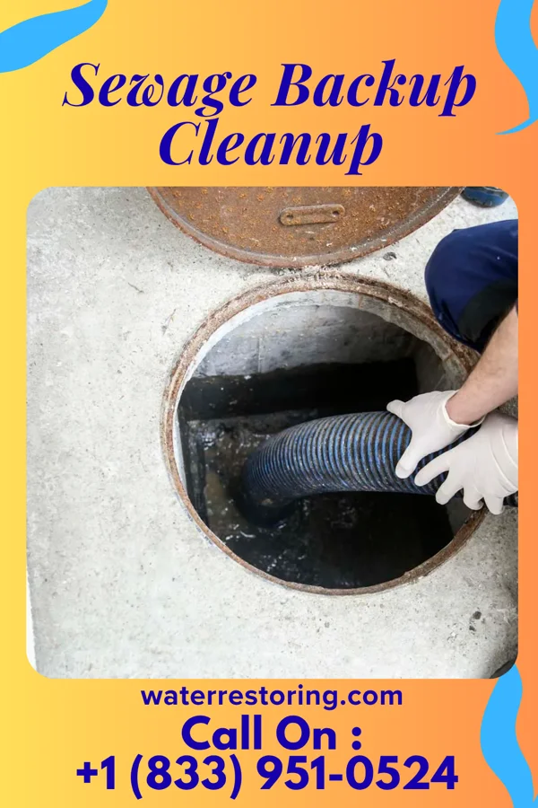 Sewage Backup Cleanup in Ridgeway, VA