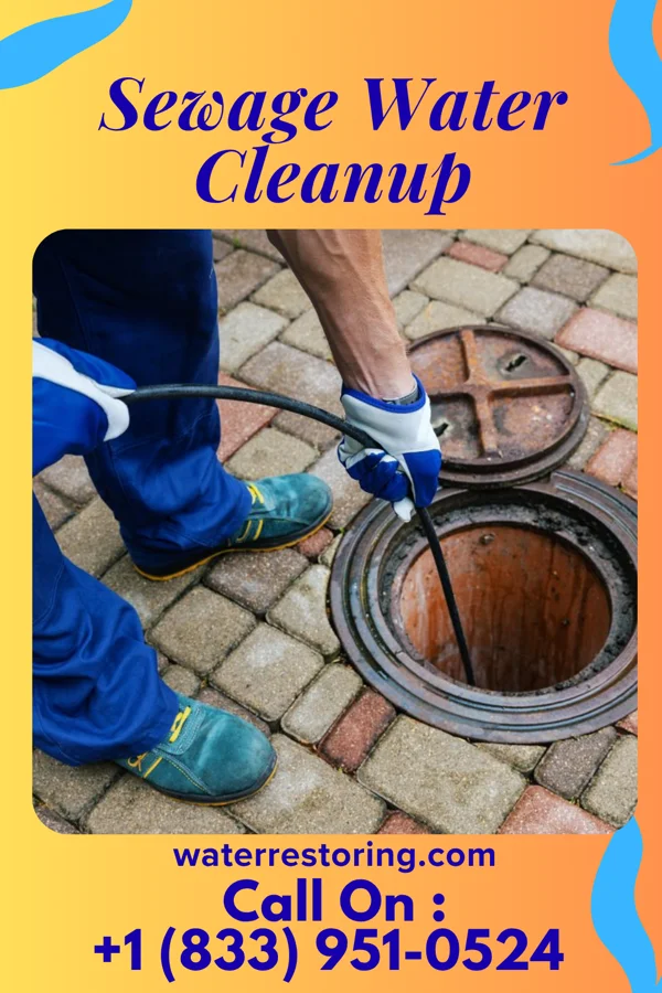 Sewage Water Cleanup in Ridgeway, VA
