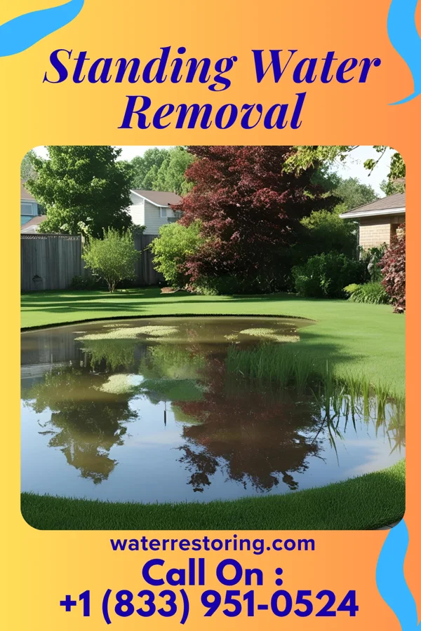Standing Water Removal in Ridgeway, VA